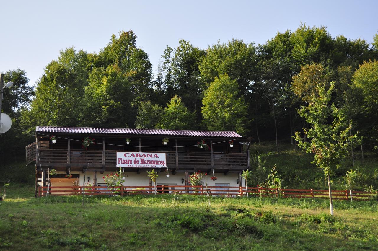 Floare De Maramures 2 Sighetu Marmaţiei Exterior foto
